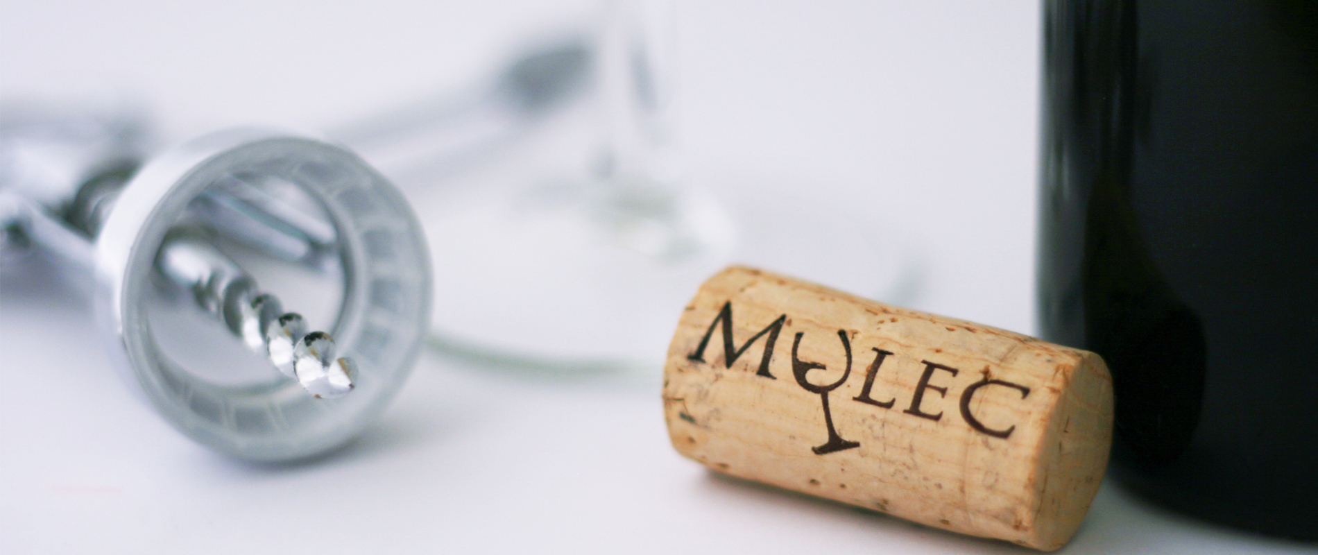 Mulec-6.jpg